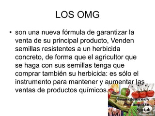 LOS OMG
• son una nueva fórmula de garantizar la
venta de su principal producto, Venden
semillas resistentes a un herbicida
concreto, de forma que el agricultor que
se haga con sus semillas tenga que
comprar también su herbicida: es sólo el
instrumento para mantener y aumentar las
ventas de productos químicos.
 