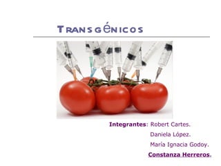 Transgénicos Integrantes : Robert Cartes. Daniela López. María Ignacia Godoy. Constanza Herreros . 