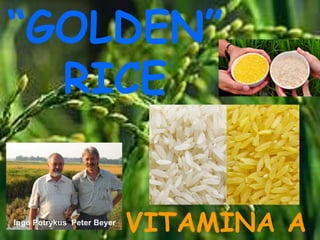 “GOLDEN”
RICE
VITAMINA AIngo Potrykus Peter Beyer
 