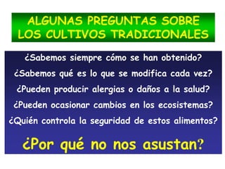 ALGUNAS PREGUNTAS SOBRE
LOS CULTIVOS TRADICIONALES
¿Sabemos siempre cómo se han obtenido?
¿Sabemos qué es lo que se modifica cada vez?
¿Pueden producir alergias o daños a la salud?
¿Pueden ocasionar cambios en los ecosistemas?
¿Quién controla la seguridad de estos alimentos?
¿Por qué no nos asustan?
 