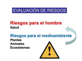 EVALUACIÓN DE RIESGOS
Riesgos para el hombre
Salud
Riesgos para el medioambiente
Plantas
Animales
Ecosistemas
 