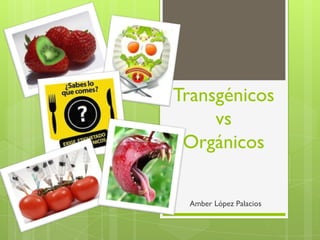 Transgénicos
     vs
 Orgánicos

 Amber López Palacios
 