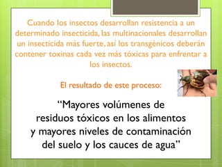 Cuando los insectos desarrollan resistencia a un
determinado insecticida, las multinacionales desarrollan
 un insecticida más fuerte, así los transgénicos deberán
contener toxinas cada vez más tóxicas para enfrentar a
                      los insectos.

             El resultado de este proceso:

          “Mayores volúmenes de
     residuos tóxicos en los alimentos
    y mayores niveles de contaminación
      del suelo y los cauces de agua”
 