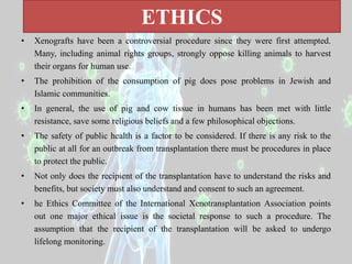 ETHICS
• Xenografts have been a controversial procedure since they were first attempted.
Many, including animal rights groups, strongly oppose killing animals to harvest
their organs for human use.
• The prohibition of the consumption of pig does pose problems in Jewish and
Islamic communities.
• In general, the use of pig and cow tissue in humans has been met with little
resistance, save some religious beliefs and a few philosophical objections.
• The safety of public health is a factor to be considered. If there is any risk to the
public at all for an outbreak from transplantation there must be procedures in place
to protect the public.
• Not only does the recipient of the transplantation have to understand the risks and
benefits, but society must also understand and consent to such an agreement.
• he Ethics Committee of the International Xenotransplantation Association points
out one major ethical issue is the societal response to such a procedure. The
assumption that the recipient of the transplantation will be asked to undergo
lifelong monitoring.
 