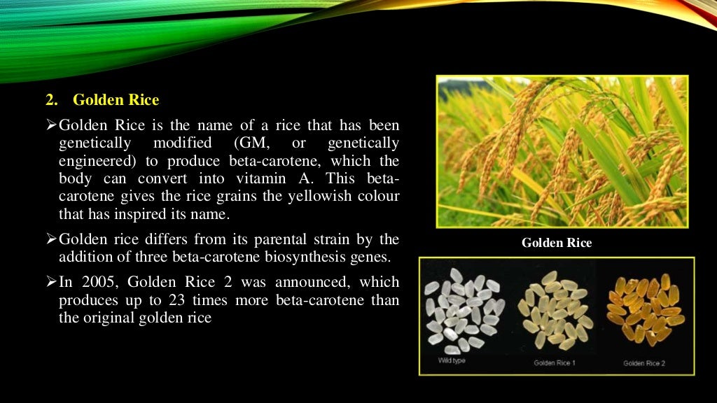 Transgenic plant
