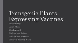 Transgenic Plants
Expressing Vaccines
Presented By
Asim Khan
Saad Ahmed
Muhammad Faizan
Muhammad Jamshed
Musadiq Zeeshan Nasir
 
