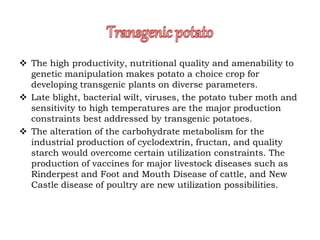  The high productivity, nutritional quality and amenability to
genetic manipulation makes potato a choice crop for
developing transgenic plants on diverse parameters.
 Late blight, bacterial wilt, viruses, the potato tuber moth and
sensitivity to high temperatures are the major production
constraints best addressed by transgenic potatoes.
 The alteration of the carbohydrate metabolism for the
industrial production of cyclodextrin, fructan, and quality
starch would overcome certain utilization constraints. The
production of vaccines for major livestock diseases such as
Rinderpest and Foot and Mouth Disease of cattle, and New
Castle disease of poultry are new utilization possibilities.
 