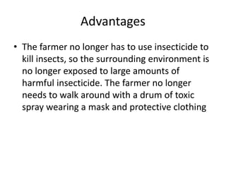 Advantages
• The farmer no longer has to use insecticide to
kill insects, so the surrounding environment is
no longer exposed to large amounts of
harmful insecticide. The farmer no longer
needs to walk around with a drum of toxic
spray wearing a mask and protective clothing
 