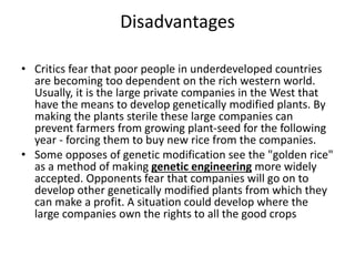 Disadvantages
• Critics fear that poor people in underdeveloped countries
are becoming too dependent on the rich western world.
Usually, it is the large private companies in the West that
have the means to develop genetically modified plants. By
making the plants sterile these large companies can
prevent farmers from growing plant-seed for the following
year - forcing them to buy new rice from the companies.
• Some opposes of genetic modification see the "golden rice"
as a method of making genetic engineering more widely
accepted. Opponents fear that companies will go on to
develop other genetically modified plants from which they
can make a profit. A situation could develop where the
large companies own the rights to all the good crops
 