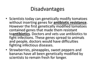 Disadvantages
• Scientists today can genetically modify tomatoes
without inserting genes for antibiotic resistance.
However the first genetically modified tomatoes
contained genes that made them resistant
toantibiotics. Doctors and vets use antibiotics to
fight infections. These genes spread to animals
and people, doctors would have difficulties
fighting infectious diseases.
• Strawberries, pineapples, sweet peppers and
bananas have all been genetically modified by
scientists to remain fresh for longer.
 
