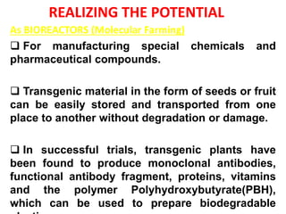 REALIZING THE POTENTIAL
As BIOREACTORS (Molecular Farming)
 For manufacturing special chemicals and
pharmaceutical compounds.
 Transgenic material in the form of seeds or fruit
can be easily stored and transported from one
place to another without degradation or damage.
 In successful trials, transgenic plants have
been found to produce monoclonal antibodies,
functional antibody fragment, proteins, vitamins
and the polymer Polyhydroxybutyrate(PBH),
which can be used to prepare biodegradable
 