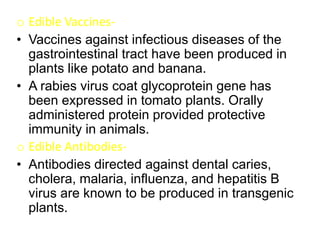 o Edible Vaccines-
• Vaccines against infectious diseases of the
gastrointestinal tract have been produced in
plants like potato and banana.
• A rabies virus coat glycoprotein gene has
been expressed in tomato plants. Orally
administered protein provided protective
immunity in animals.
o Edible Antibodies-
• Antibodies directed against dental caries,
cholera, malaria, influenza, and hepatitis B
virus are known to be produced in transgenic
plants.
 
