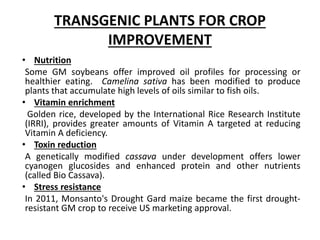 TRANSGENIC PLANTS FOR CROP
IMPROVEMENT
• Nutrition
Some GM soybeans offer improved oil profiles for processing or
healthier eating. Camelina sativa has been modified to produce
plants that accumulate high levels of oils similar to fish oils.
• Vitamin enrichment
Golden rice, developed by the International Rice Research Institute
(IRRI), provides greater amounts of Vitamin A targeted at reducing
Vitamin A deficiency.
• Toxin reduction
A genetically modified cassava under development offers lower
cyanogen glucosides and enhanced protein and other nutrients
(called Bio Cassava).
• Stress resistance
In 2011, Monsanto's Drought Gard maize became the first drought-
resistant GM crop to receive US marketing approval.
 