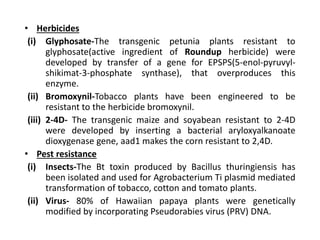 • Herbicides
(i) Glyphosate-The transgenic petunia plants resistant to
glyphosate(active ingredient of Roundup herbicide) were
developed by transfer of a gene for EPSPS(5-enol-pyruvyl-
shikimat-3-phosphate synthase), that overproduces this
enzyme.
(ii) Bromoxynil-Tobacco plants have been engineered to be
resistant to the herbicide bromoxynil.
(iii) 2-4D- The transgenic maize and soyabean resistant to 2-4D
were developed by inserting a bacterial aryloxyalkanoate
dioxygenase gene, aad1 makes the corn resistant to 2,4D.
• Pest resistance
(i) Insects-The Bt toxin produced by Bacillus thuringiensis has
been isolated and used for Agrobacterium Ti plasmid mediated
transformation of tobacco, cotton and tomato plants.
(ii) Virus- 80% of Hawaiian papaya plants were genetically
modified by incorporating Pseudorabies virus (PRV) DNA.
 