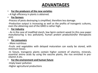 ADVANTAGES
• For the producers of the new varieties
- A high efficiency in plants is obtained.
• For farmers
-Process of pests destroying is simplified, therefore less damage.
-Production output is increasing as well as the profits of transgenic cultures,
even the obtaining cost of the GMO is rather high.
• For industry
- As in the case of modified starch, low lignin content wood (in this case paper
manufacturing is less pollutant), human protein production(for therapeutic
aim)
• For consumers
- More nutritious
-Fruits and vegetables with delayed maturation can easily be stored, with
minimum losses.
-In future, transgenic plants contain higher content of vitamins, minerals,
essential amino acids by using the vaccine plants, the rice enriched in pro-
vitamin A etc.
• For the environment and human future
-Imply lower pollution
-Higher agricultural productions
 