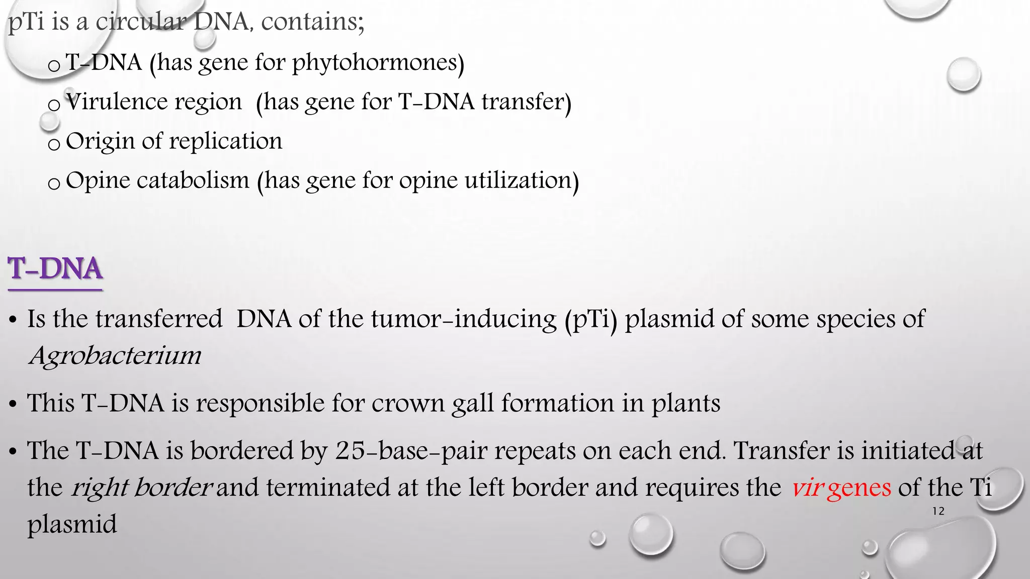 pTi is a circular DNA, contains;
oT-DNA (has gene for phytohormones)
oVirulence region (has gene for T-DNA transfer)
oOrigin of replication
oOpine catabolism (has gene for opine utilization)
T-DNA
• Is the transferred DNA of the tumor-inducing (pTi) plasmid of some species of
Agrobacterium
• This T-DNA is responsible for crown gall formation in plants
• The T-DNA is bordered by 25-base-pair repeats on each end. Transfer is initiated at
the right border and terminated at the left border and requires the vir genes of the Ti
plasmid
12
 