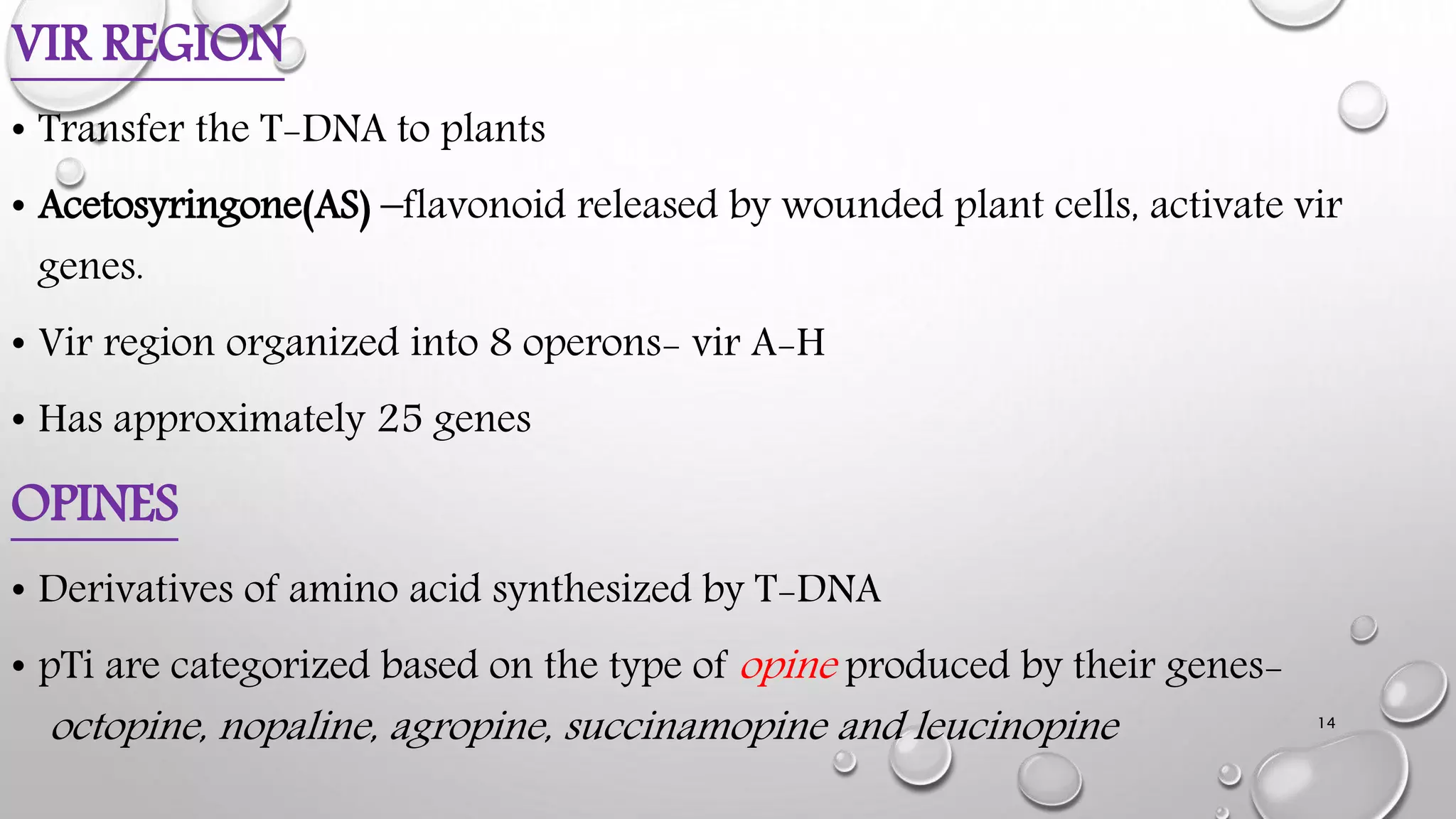 VIR REGION
• Transfer the T-DNA to plants
• Acetosyringone(AS) –flavonoid released by wounded plant cells, activate vir
genes.
• Vir region organized into 8 operons- vir A-H
• Has approximately 25 genes
OPINES
• Derivatives of amino acid synthesized by T-DNA
• pTi are categorized based on the type of opine produced by their genes-
octopine, nopaline, agropine, succinamopine and leucinopine 14
 