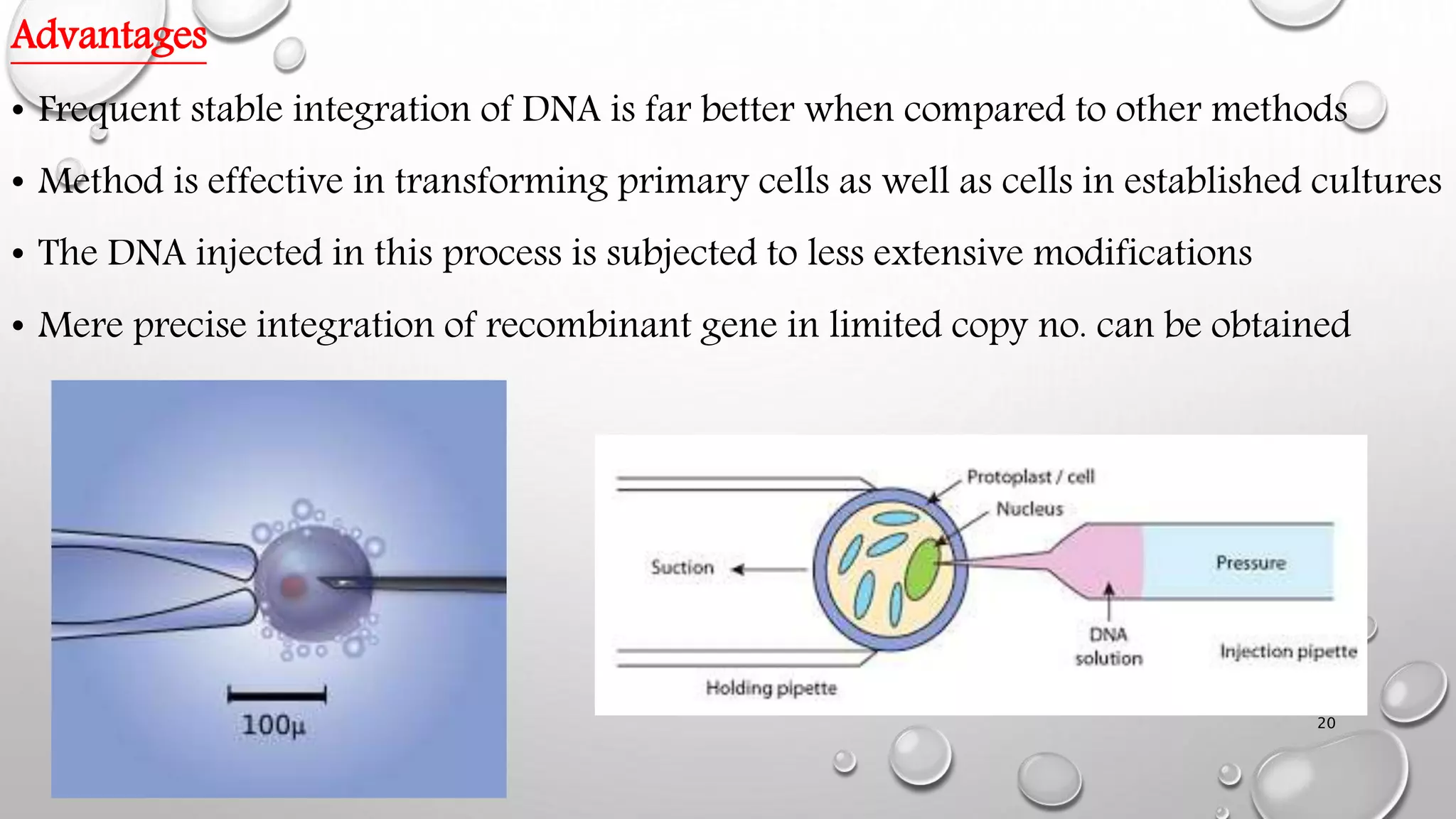 Advantages
• Frequent stable integration of DNA is far better when compared to other methods
• Method is effective in transforming primary cells as well as cells in established cultures
• The DNA injected in this process is subjected to less extensive modifications
• Mere precise integration of recombinant gene in limited copy no. can be obtained
20
 
