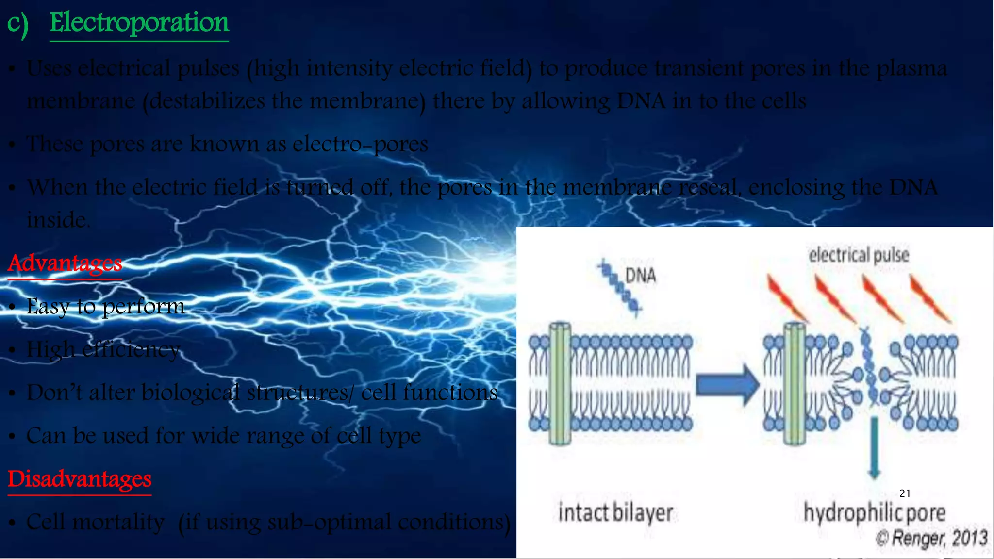 c) Electroporation
• Uses electrical pulses (high intensity electric field) to produce transient pores in the plasma
membrane (destabilizes the membrane) there by allowing DNA in to the cells
• These pores are known as electro-pores
• When the electric field is turned off, the pores in the membrane reseal, enclosing the DNA
inside.
Advantages
• Easy to perform
• High efficiency
• Don’t alter biological structures/ cell functions
• Can be used for wide range of cell type
Disadvantages
• Cell mortality (if using sub-optimal conditions)
21
 