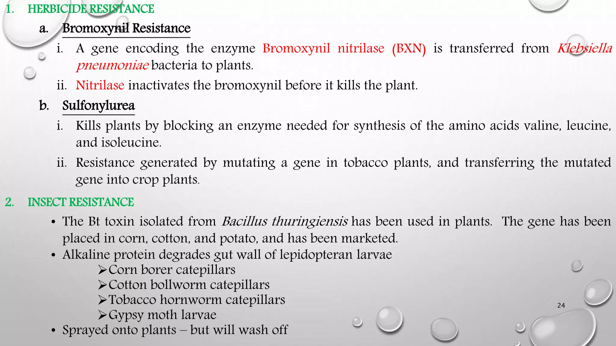 1. HERBICIDE RESISTANCE
a. Bromoxynil Resistance
i. A gene encoding the enzyme Bromoxynil nitrilase (BXN) is transferred from Klebsiella
pneumoniae bacteria to plants.
ii. Nitrilase inactivates the bromoxynil before it kills the plant.
b. Sulfonylurea
i. Kills plants by blocking an enzyme needed for synthesis of the amino acids valine, leucine,
and isoleucine.
ii. Resistance generated by mutating a gene in tobacco plants, and transferring the mutated
gene into crop plants.
2. INSECT RESISTANCE
• The Bt toxin isolated from Bacillus thuringiensis has been used in plants. The gene has been
placed in corn, cotton, and potato, and has been marketed.
• Alkaline protein degrades gut wall of lepidopteran larvae
Corn borer catepillars
Cotton bollworm catepillars
Tobacco hornworm catepillars
Gypsy moth larvae
• Sprayed onto plants – but will wash off
24
 