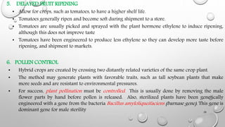 Transgenic plants and their Application | PPTX