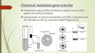 Chemical mediated gene transfer
 Polyethylene glycol (PEG) & Dextran sulphate induce DNA
uptake into plant protoplast.
 Coprecipitate of calcium phosphate and DNA is prepared and
the cell take up this by a process called Phagocytosis.
 
