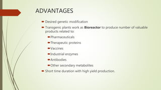 ADVANTAGES
 Desired genetic modification
 Transgenic plants work as Bioreactor to produce number of valuable
products related to:
Pharmaceuticals
Therapeutic proteins
Vaccines
Industrial enzymes
Antibodies
Other secondary metabolites
 Short time duration with high yield production.
 