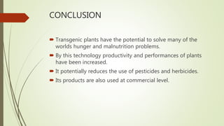 CONCLUSION
 Transgenic plants have the potential to solve many of the
worlds hunger and malnutrition problems.
 By this technology productivity and performances of plants
have been increased.
 It potentially reduces the use of pesticides and herbicides.
 Its products are also used at commercial level.
 