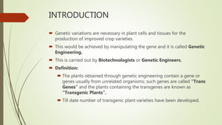 INTRODUCTION
 Genetic variations are necessary in plant cells and tissues for the
production of improved crop varieties.
 This would be achieved by manipulating the gene and it is called Genetic
Engineering.
 This is carried out by Biotechnologists or Genetic Engineers.
 Definition:
 The plants obtained through genetic engineering contain a gene or
genes usually from unrelated organisms; such genes are called “Trans
Genes” and the plants containing the transgenes are known as
“Transgenic Plants”.
 Till date number of transgenic plant varieties have been developed.
 