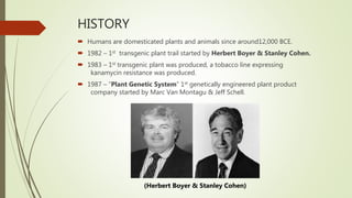 HISTORY
 Humans are domesticated plants and animals since around12,000 BCE.
 1982 – 1st transgenic plant trail started by Herbert Boyer & Stanley Cohen.
 1983 – 1st transgenic plant was produced, a tobacco line expressing
kanamycin resistance was produced.
 1987 – “Plant Genetic System” 1st genetically engineered plant product
company started by Marc Van Montagu & Jeff Schell.
(Herbert Boyer & Stanley Cohen)
 