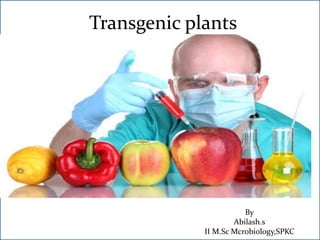 Transgenic plants
By
Abilash.s
II M.Sc Mcrobiology,SPKC
 