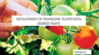 DEVELOPMENT OF TRANSGENIC PLANTS WITH
DESIRED TRAITS
D.INDRAJA
 
