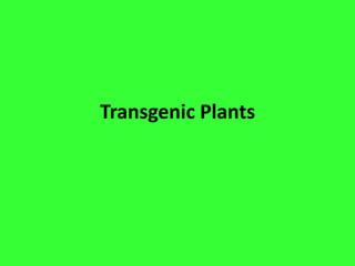 Transgenic Plants
 