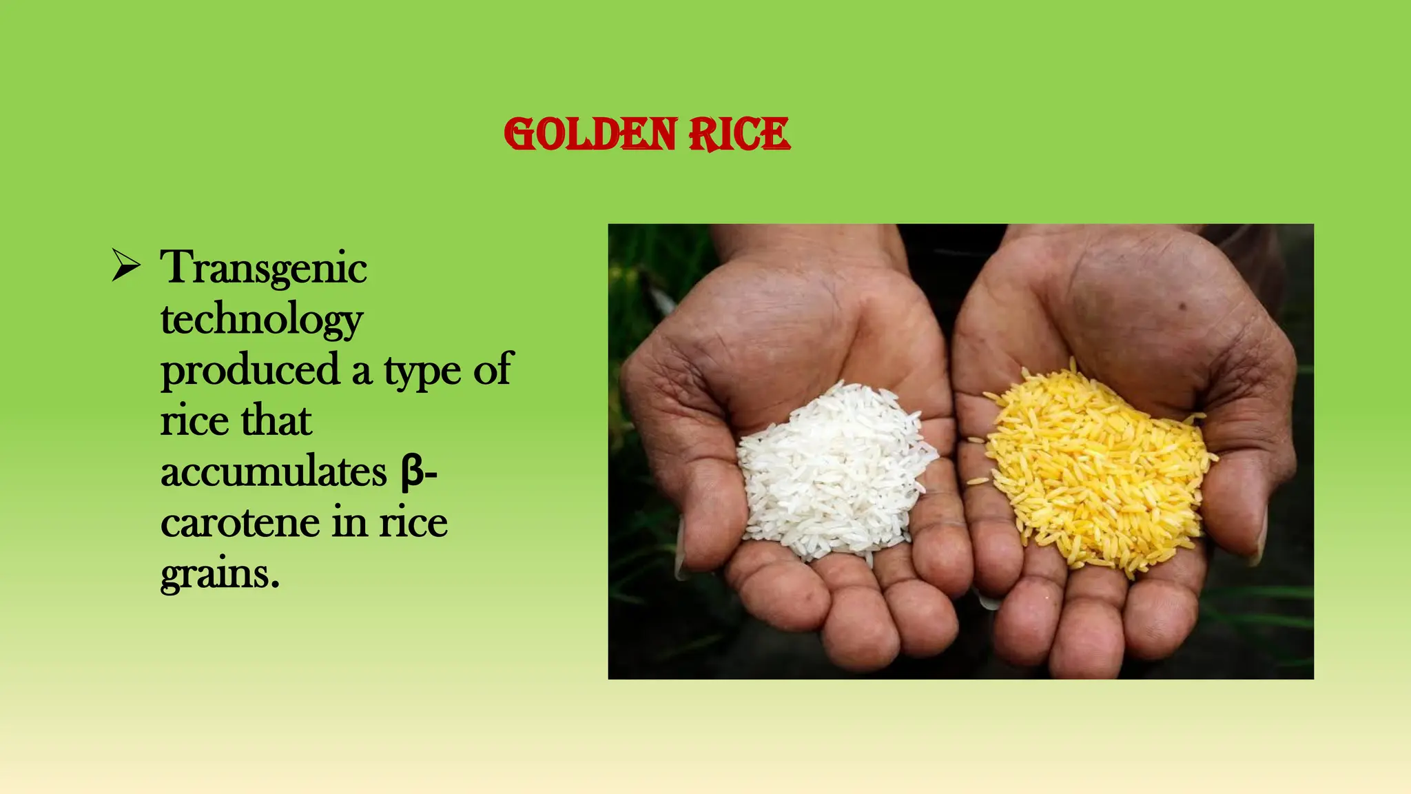 Transgenic plants , biotransformation and transgenesis | PDF