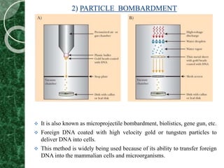 2) PARTICLE BOMBARDMENT
 It is also known as microprojectile bombardment, biolistics, gene gun, etc.
 Foreign DNA coated with high velocity gold or tungsten particles to
deliver DNA into cells.
 This method is widely being used because of its ability to transfer foreign
DNA into the mammalian cells and microorganisms.
 