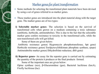 Marker genes for plant transformation
 Some methods for selecting the transformed plant materials have been devised
by using a set of genes referred to as marker genes.
 These marker genes are introduced into the plant material along with the target
gene. The marker genes are of two types:
i) Selectable marker genes- The selection is based on the survival of
transformed cells when grown on a medium containing a toxic substance
(antibiotic, herbicide, antimetabolite). This is due to the fact that the selectable
marker gene confers resistance to toxicity in the transformed cells, while the
non-transformed cells will get killed.
Some of them are given below:
Antibiotic resistance genes( Hygromycin phosphotransferase, hpt gene)
Herbicide resistance genes( Enolpyruvylshikimate phosphate synthase, epsps)
Antimetabolite marker genes( Dihydrofolate reductase, dhfr gene)
ii) Reporter genes- An assay for the reporter gene is carried out by estimating
the quantity of the protein it produces or the final products formed.
Some of the important ones are given below:
Opine synthase (ocs), β-Glucuronidase (gus), Bacterial luciferase (luxA),
Firefly luciferase (luc)
 