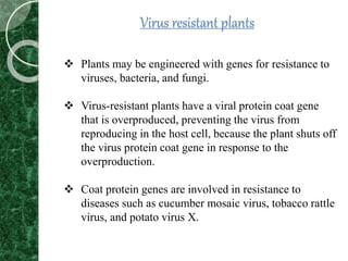 Virus resistant plants
 Plants may be engineered with genes for resistance to
viruses, bacteria, and fungi.
 Virus-resistant plants have a viral protein coat gene
that is overproduced, preventing the virus from
reproducing in the host cell, because the plant shuts off
the virus protein coat gene in response to the
overproduction.
 Coat protein genes are involved in resistance to
diseases such as cucumber mosaic virus, tobacco rattle
virus, and potato virus X.
 