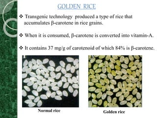 Golden riceNormal rice
GOLDEN RICE
 Transgenic technology produced a type of rice that
accumulates β-carotene in rice grains.
 When it is consumed, β-carotene is converted into vitamin-A.
 It contains 37 mg/g of carotenoid of which 84% is β-carotene.
 