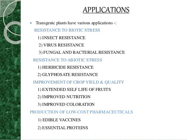 Transgenic plants ppt