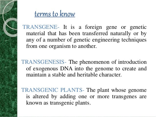 Transgenic Plants Ppt Transgenic Plants Ppt