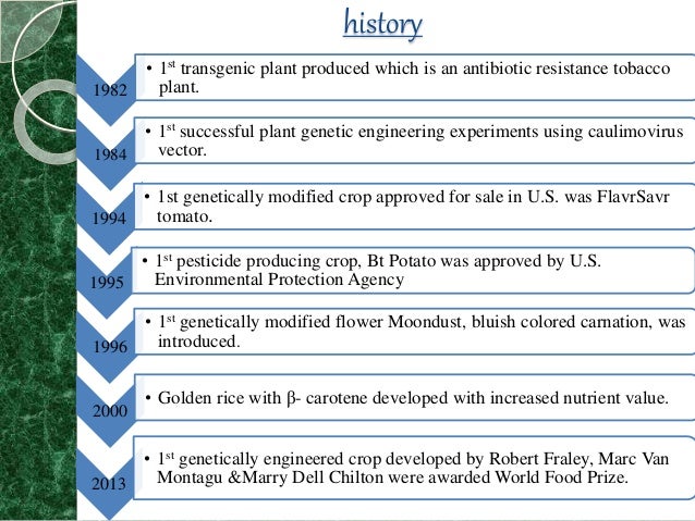 Transgenic Plants Ppt Transgenic Plants Ppt