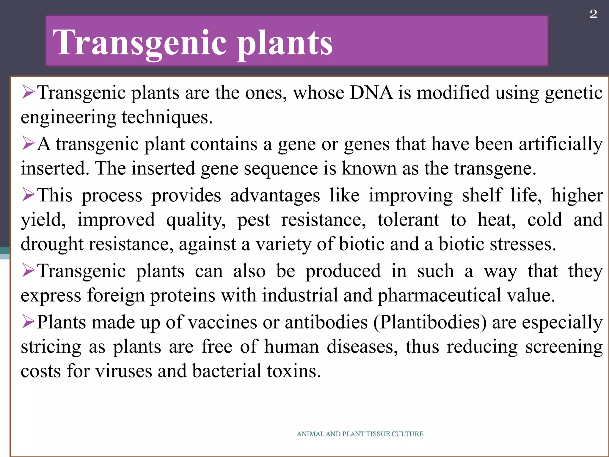 Transgenic plant | PPTX