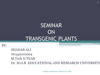 SEMINAR
ON
TRANSGENIC PLANTS
BY:
SHADAB ALI
161442101004
M.Tech II YEAR
Dr. M.G.R EDUCATIONAL AND RESEARCH UNIVERSITY
1
ANIMAL AND PLANT TISSUE CULTURE
 