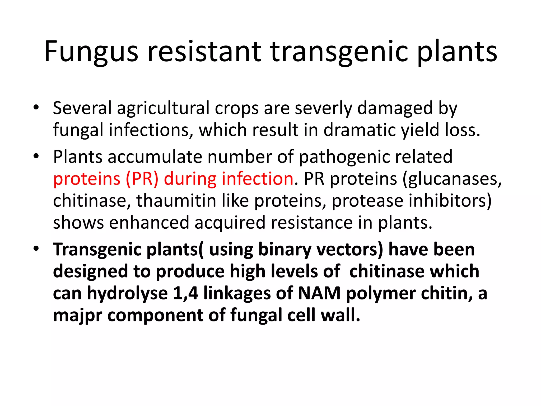 Fungus resistant transgenic plants
• Several agricultural crops are severly damaged by
fungal infections, which result in dramatic yield loss.
• Plants accumulate number of pathogenic related
proteins (PR) during infection. PR proteins (glucanases,
chitinase, thaumitin like proteins, protease inhibitors)
shows enhanced acquired resistance in plants.
• Transgenic plants( using binary vectors) have been
designed to produce high levels of chitinase which
can hydrolyse 1,4 linkages of NAM polymer chitin, a
majpr component of fungal cell wall.