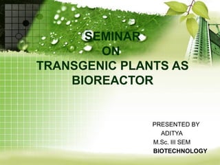 SEMINAR
ON
TRANSGENIC PLANTS AS
BIOREACTOR
PRESENTED BY
ADITYA
M.Sc. III SEM
BIOTECHNOLOGY
 