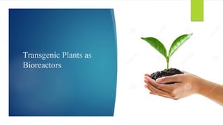 Transgenic Plants as
Bioreactors
GROUP: 8
 