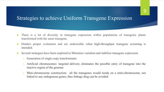 Strategies to achieve Uniform Transgene Expression
► There is a lot of diversity in transgene expression within populations of transgenic plants
transformed with the same transgene.
► Hinders proper evaluation and are undesirable when high-throughput transgene screening is
intended.
► Several strategies have been explored to Minimize variation and stabilize transgene expression
1. Generation of single-copy transformants
2. Artificial chromosomes: targeted delivery eliminates the possible entry of transgene into the
inactive region of the genome
3. Mini-chromosome construction: all the transgenes would reside on a mini-chromosome, not
linked to any endogenous genes; thus linkage drag can be avoided
9
 
