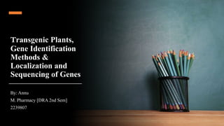 Transgenic Plants,
Gene Identification
Methods &
Localization and
Sequencing of Genes
By: Annu
M. Pharmacy [DRA 2nd Sem]
2239807
 