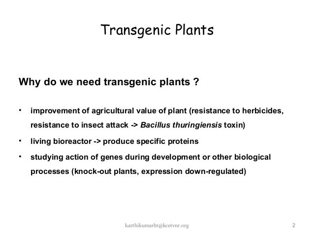 Transgenic Plants New