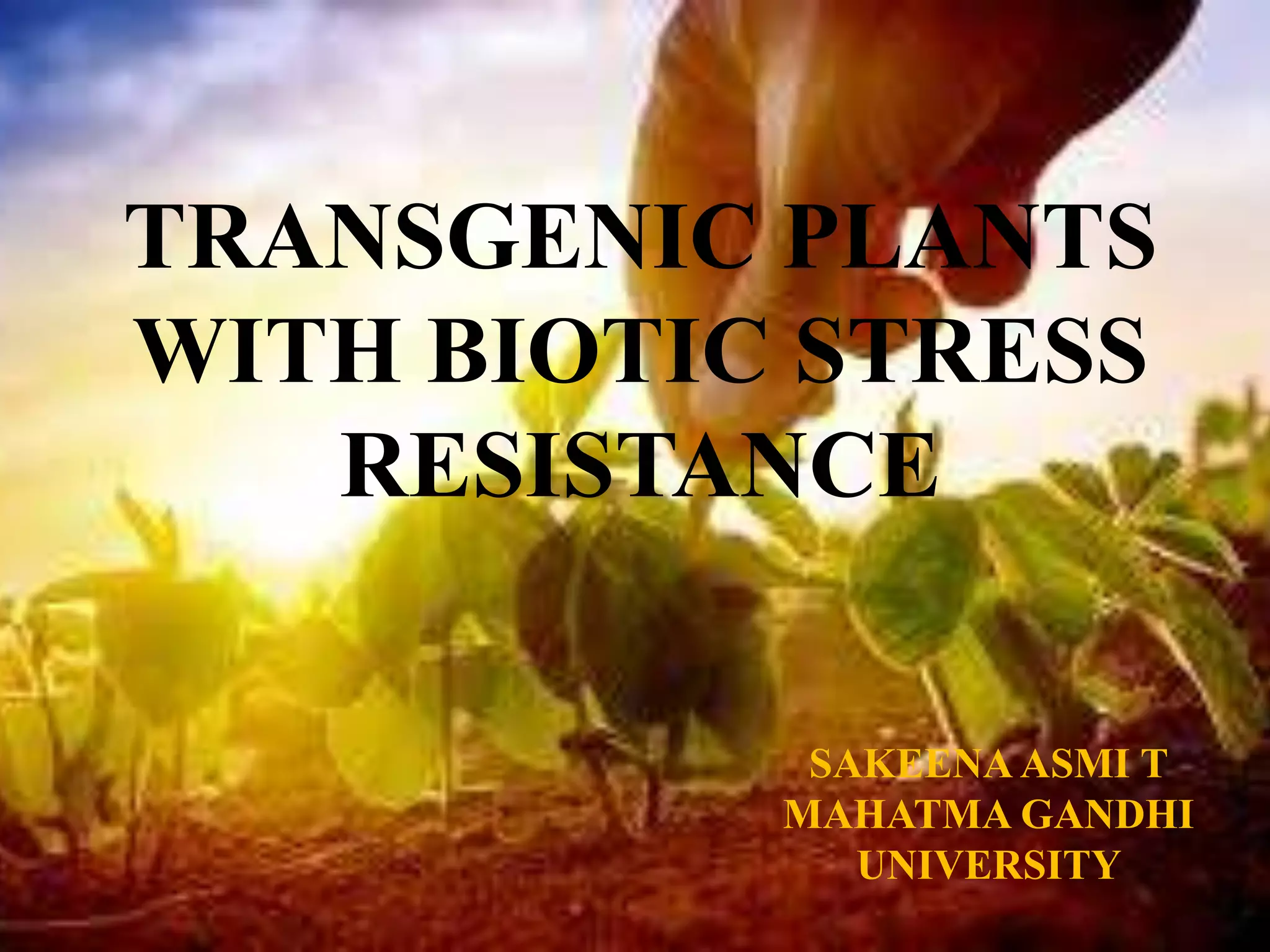 Transgenic plants with biotic stress resistance | PPTX